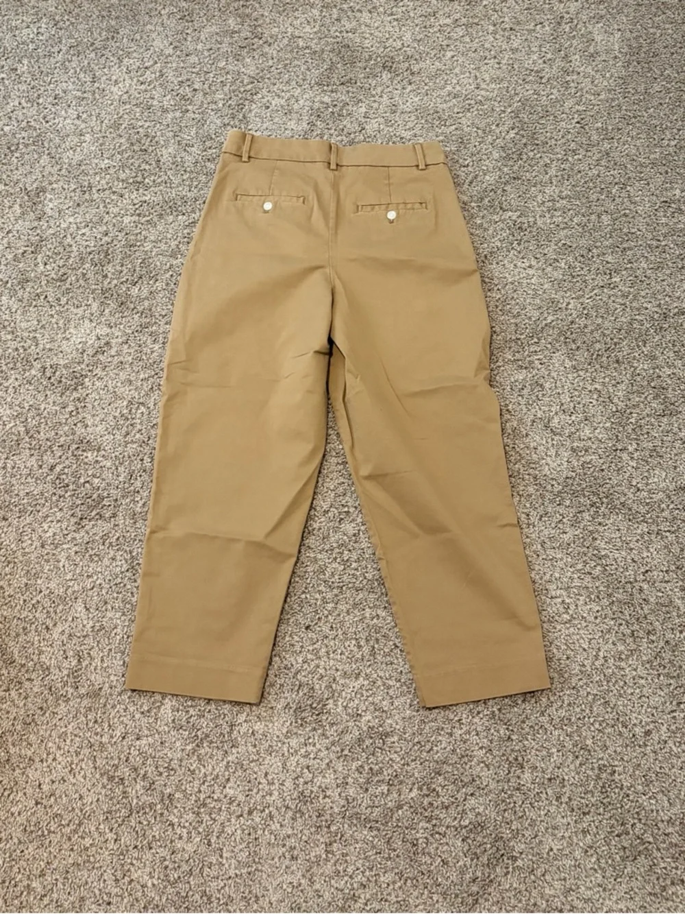 Banana Republic Pleated Chino Pants - Khaki Brown - Picture 2 of 3